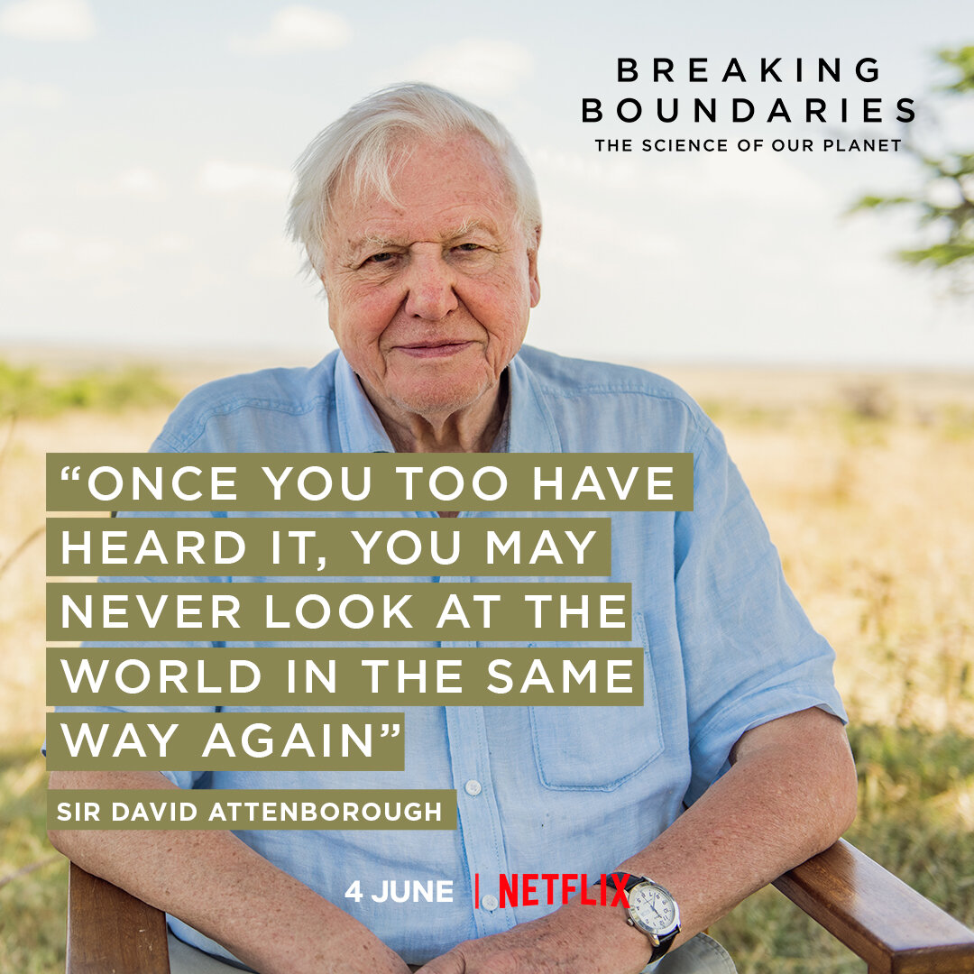 Impact Advisor: David Attenborough's "Breaking Boundaries" for Netflix & Count Us In
