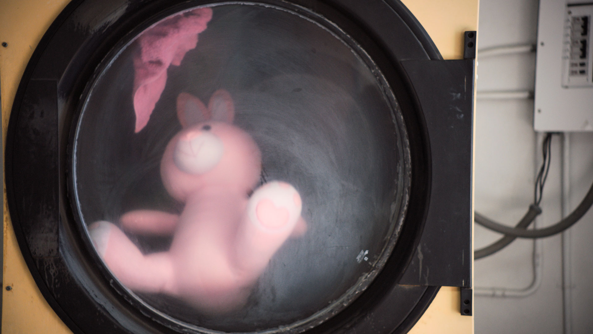 A pink rabbit in a drying machine