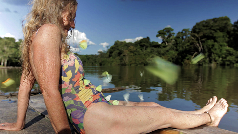 Amazona. Val by the river in the amazon, with yellow butterflies